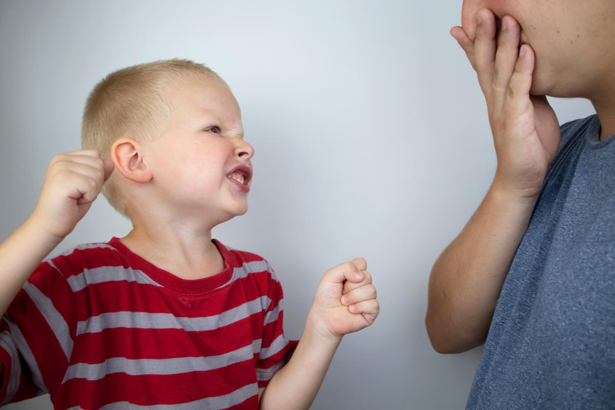 Mi hijo de 2 años pega a otros niños, ¿qué hago?