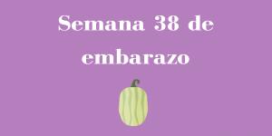 Semana 38 de embarazo