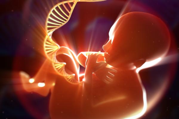 ¿Qué siente el bebé cuando la madre llora? - ¿Cuándo una embarazada llora qué siente el bebé?