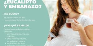 ¿El eucalipto es bueno para el embarazo?